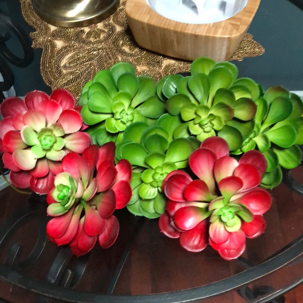 7 Faux Succulents